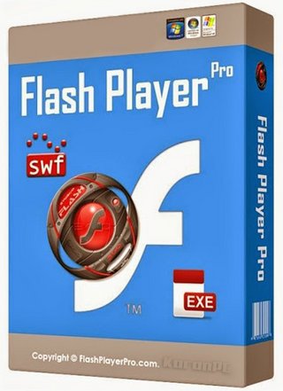 flash player pro
